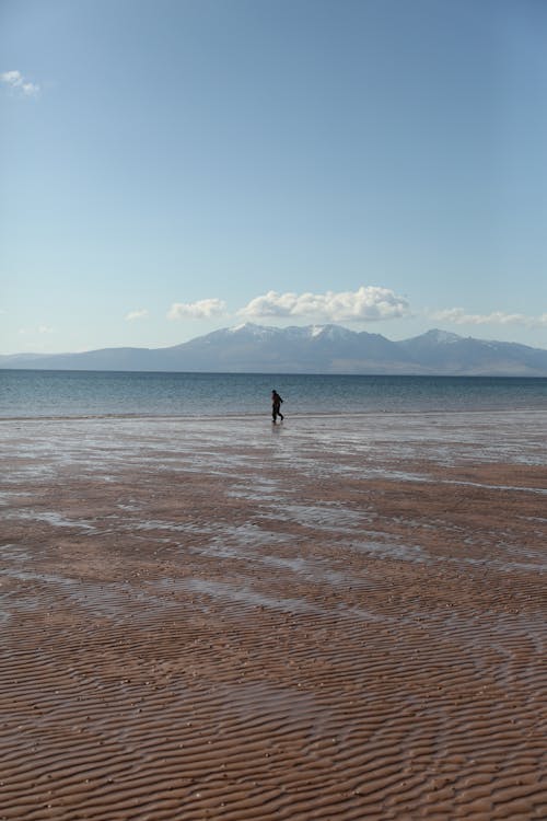Person Walking on Beach