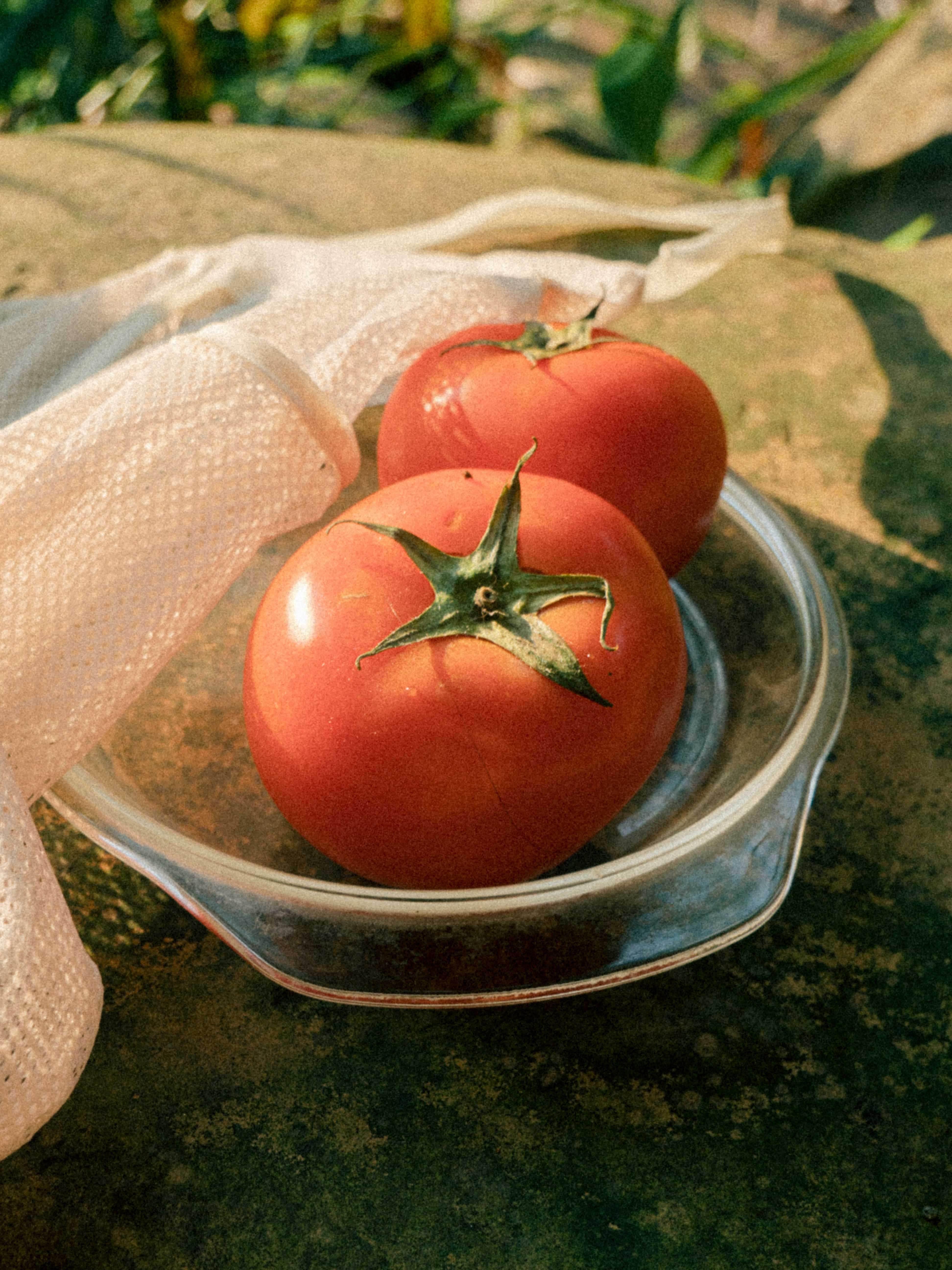 Two ripe tomatoes in a glass bowl on a stone surface, bathed in warm sunlight.