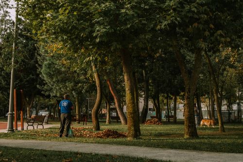 Free A person cleaning up autumn leaves in a quiet, tree-filled park offering a peaceful environment. Stock Photo