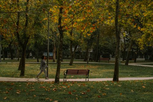 Free A woman walks along a path surrounded by trees with colorful autumn leaves in a peaceful park. Stock Photo