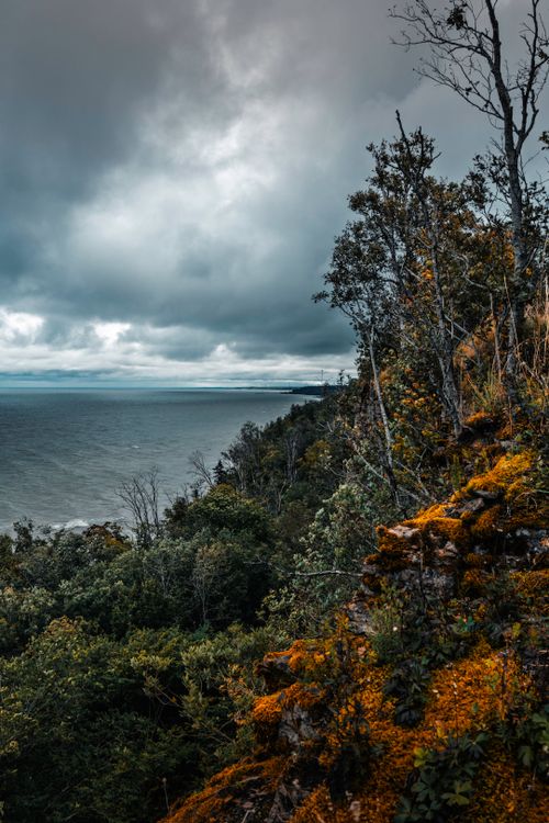 Free Explore the vibrant autumn hues and dramatic skies of Estonia's coastline. Stock Photo