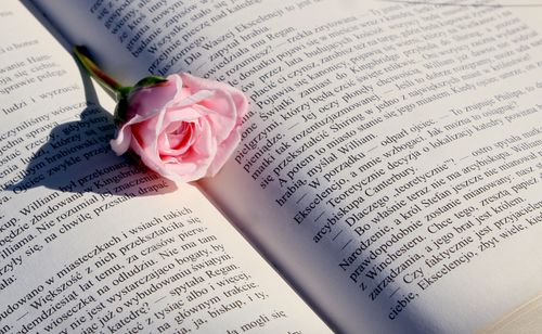 Free A delicate pink rose rests on an open book displaying text, evoking romance and literature Stock Photo