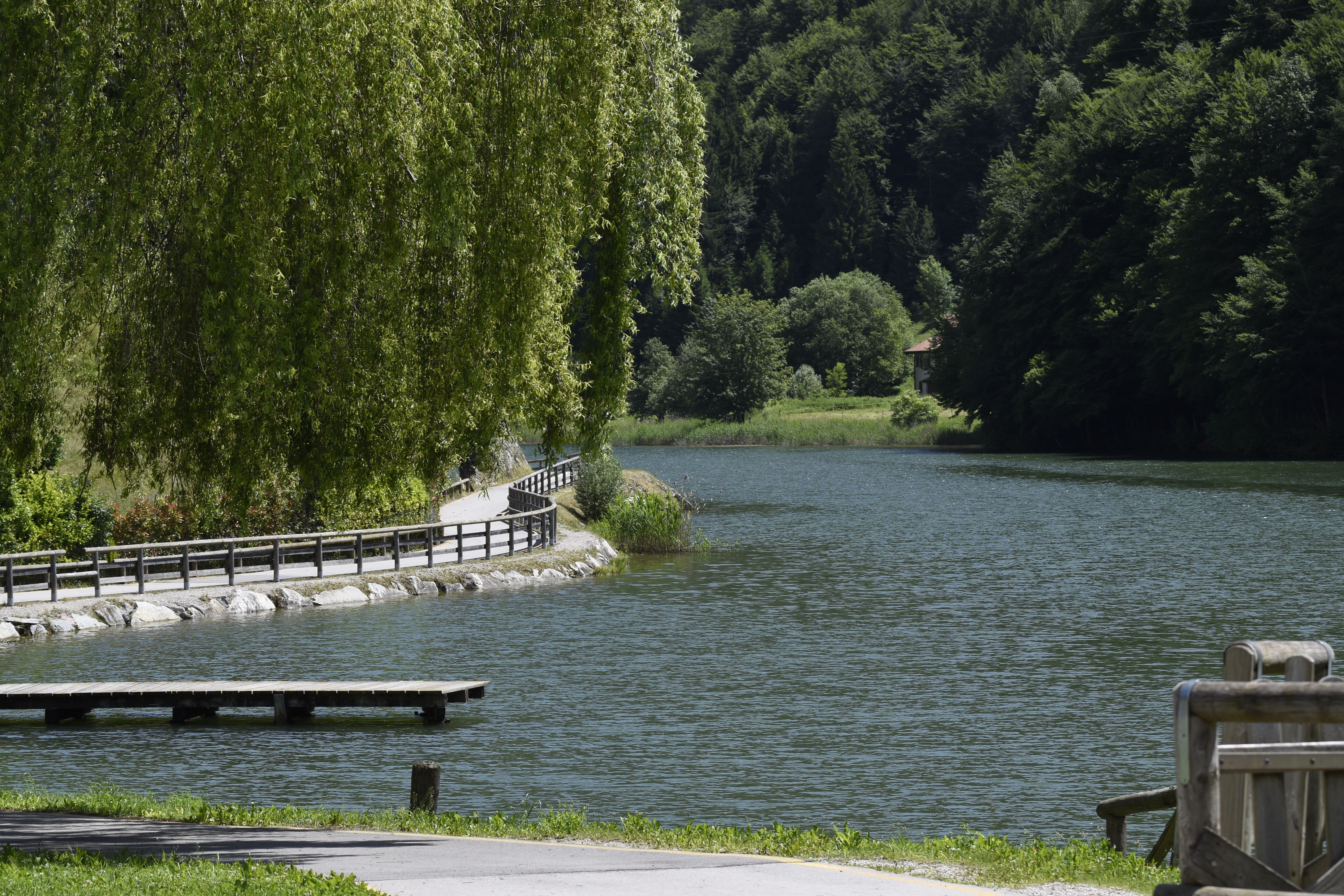 Bolzano — Food, Bolzano