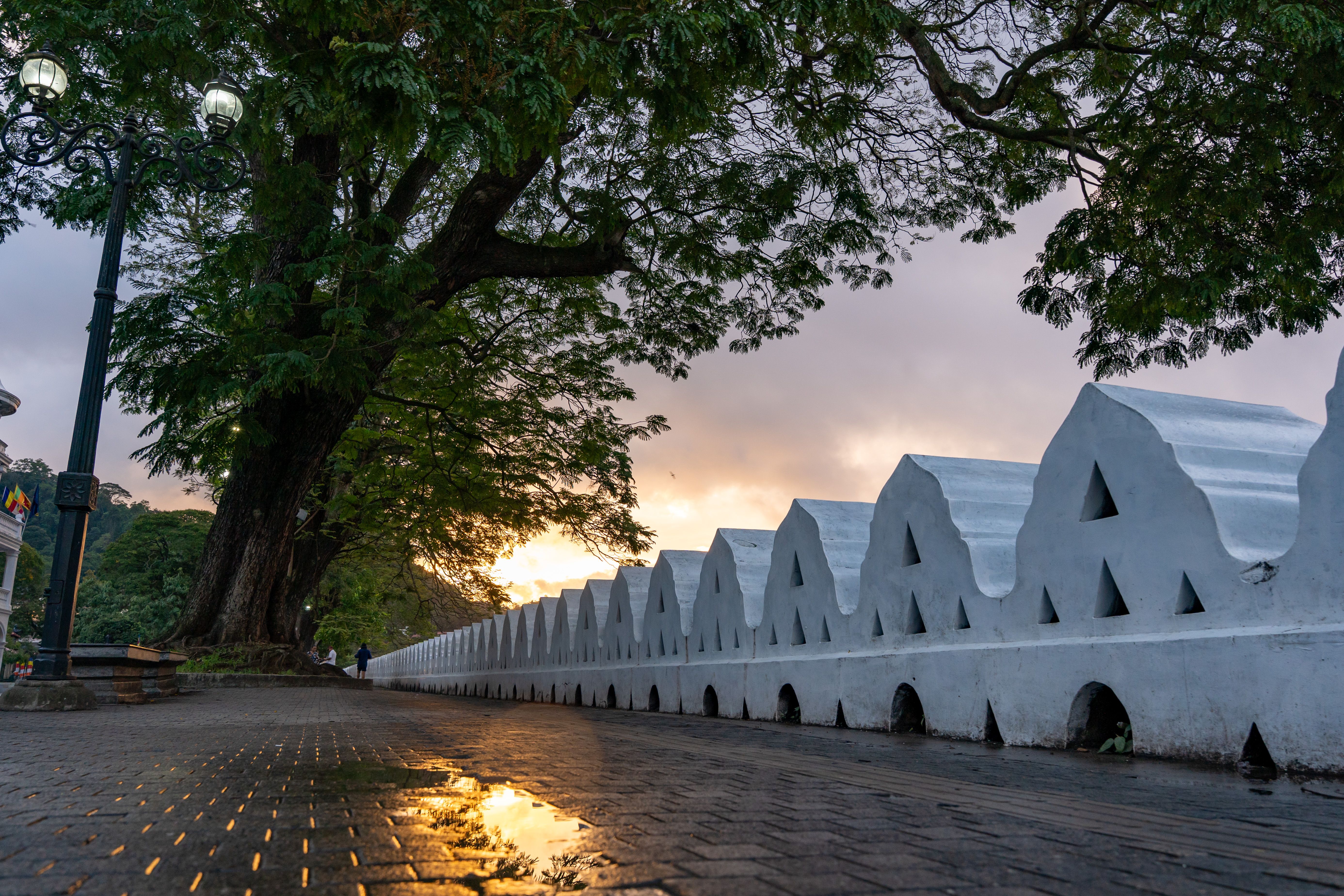 Peaceful morning scene by Kandy Lake, capturing sunrise and iconic white wall reflections.
