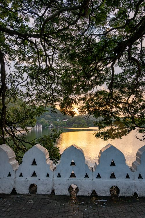 Free Peaceful sunrise view over Kandy Lake in Sri Lanka with lush greenery and historic architecture. Stock Photo