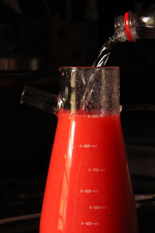 Free Close-up of red fruit punch being poured into a glass jug with measurement markings. Stock Photo