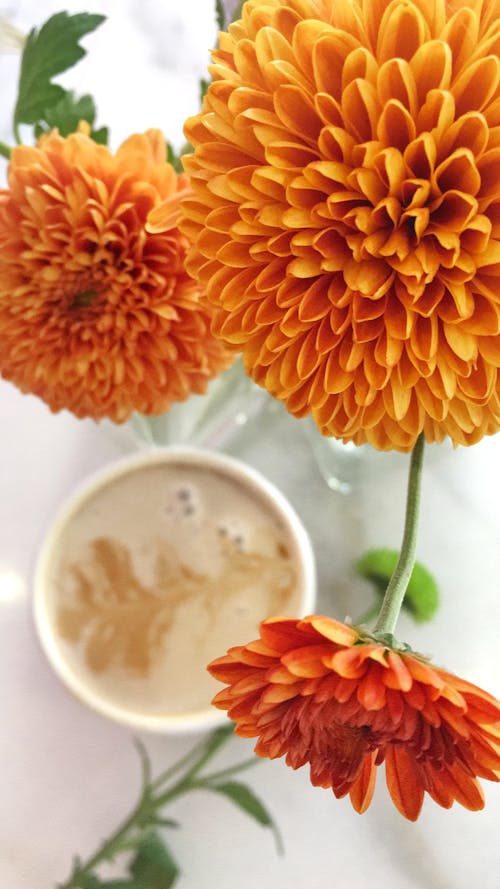 gratis Oranje Bloemen Naast Een Kopje Koffie Stockfoto