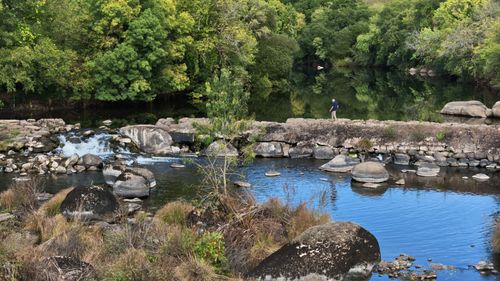 Free A calm river flowing through rocks with lush forests, featuring a lone walker. Stock Photo