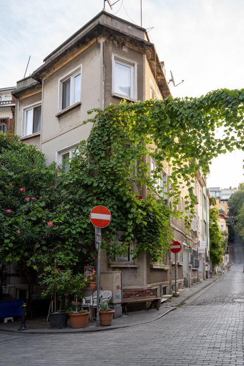 Free Scenic urban street view with an ivy-covered building and cobblestone road, captured at daytime. Stock Photo