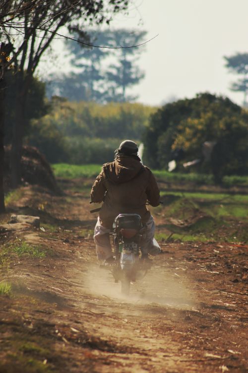 Free A person on a motorcycle rides down a dusty rural path surrounded by trees and greenery. Stock Photo