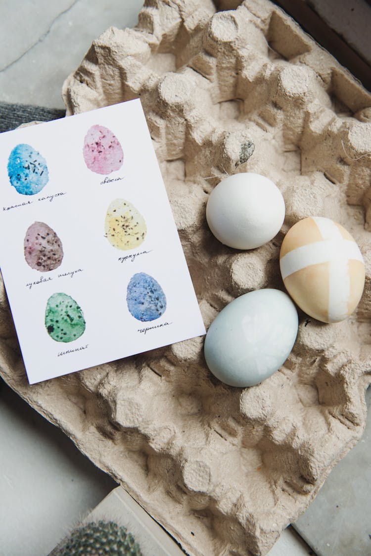 Easter Eggs And Illustration