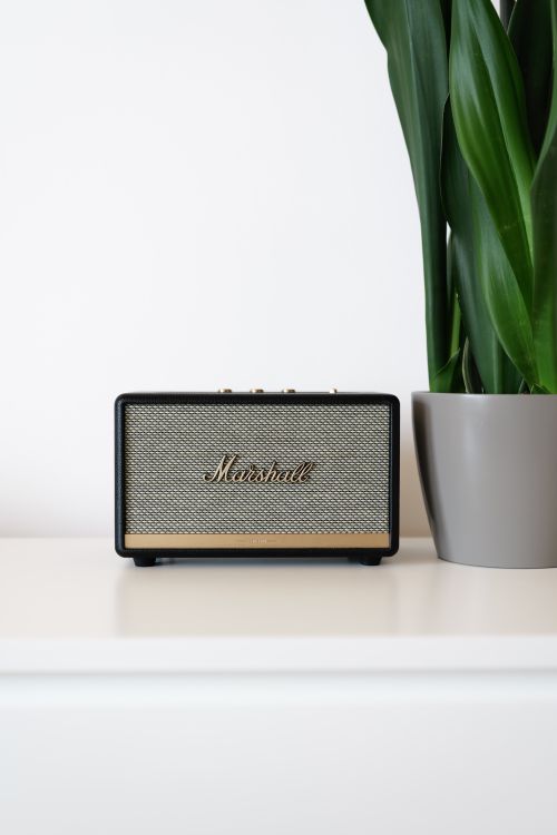 Free A modern Marshall speaker sits beside a green plant on a white surface, blending technology and interior design. Stock Photo