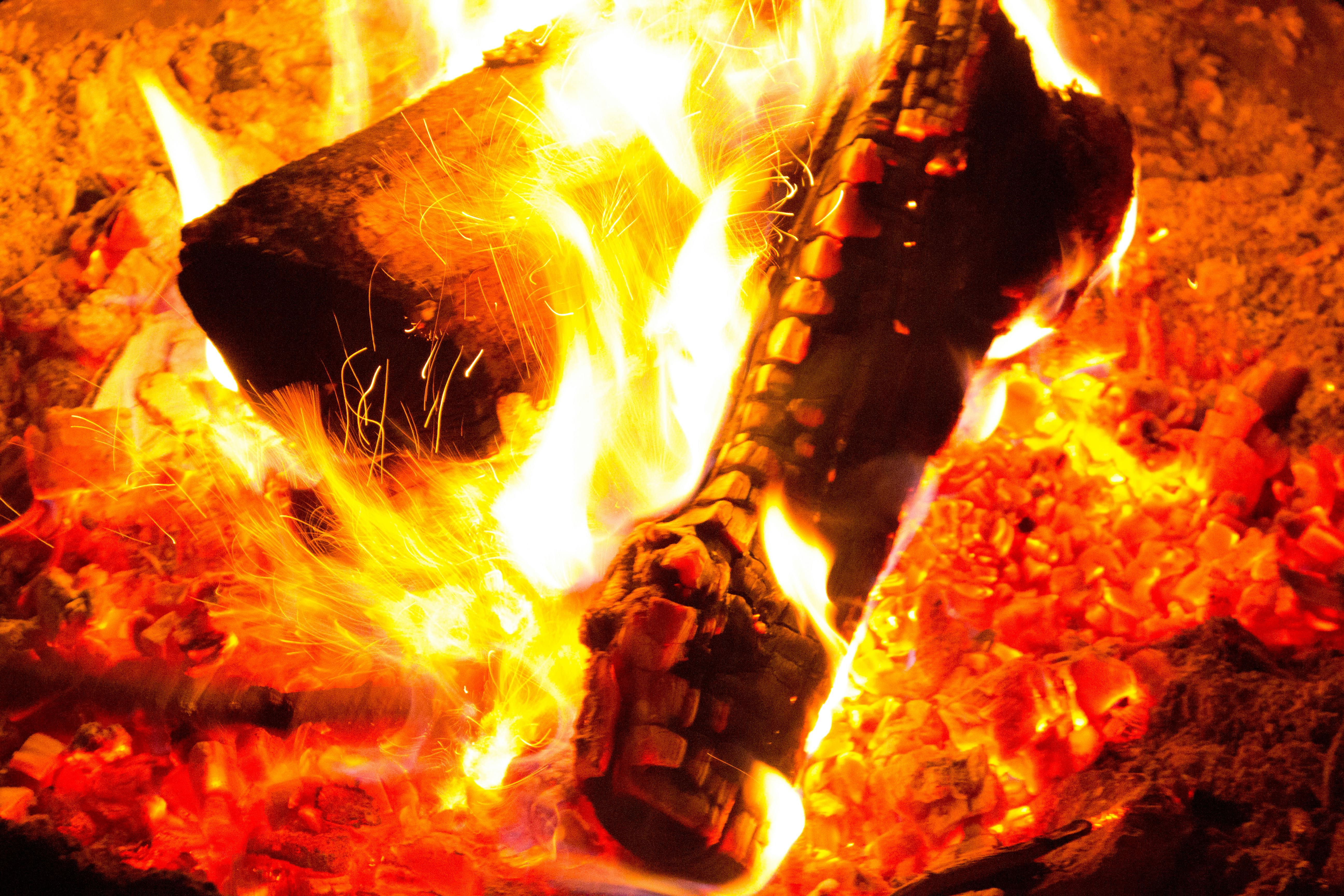 Kostenloses Foto zum Thema: feuer, flammen, lagerfeuer