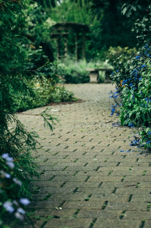 Free A serene brick pathway meanders through a lush garden with vibrant foliage and blooming flowers. Stock Photo