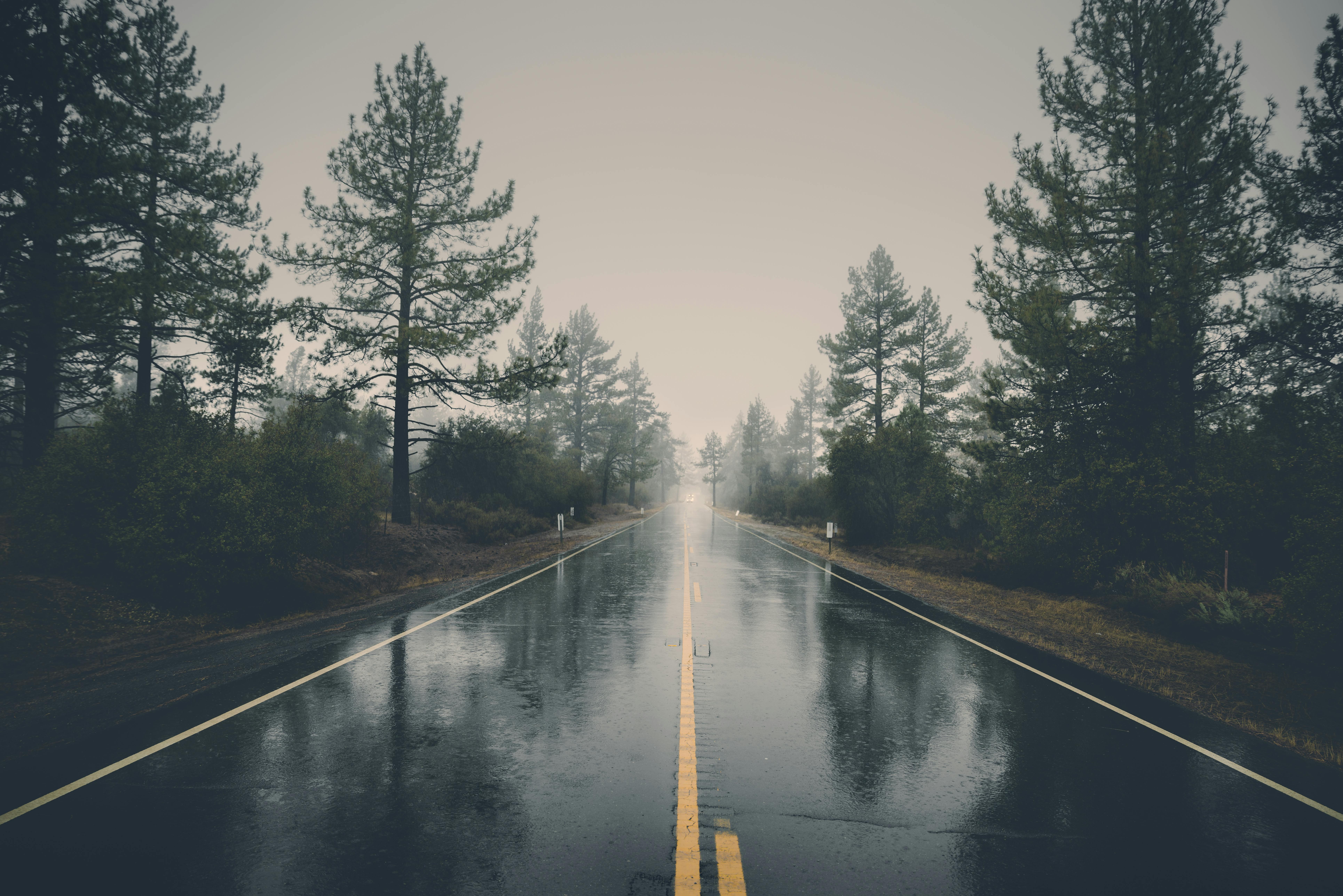 rainy landscape wallpaper