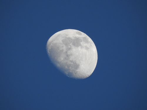 Free Detailed photograph of a waxing gibbous moon against a clear blue sky, captured during daytime. Stock Photo
