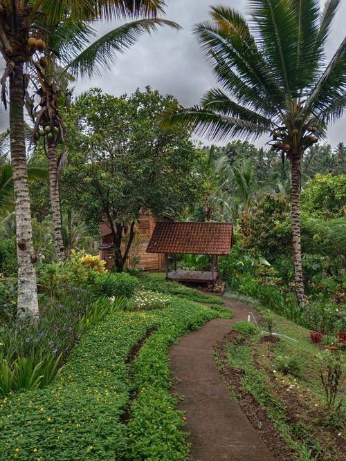 Free A serene tropical garden with a winding path leading to a traditional wooden pavilion amidst lush greenery and palm trees. Stock Photo