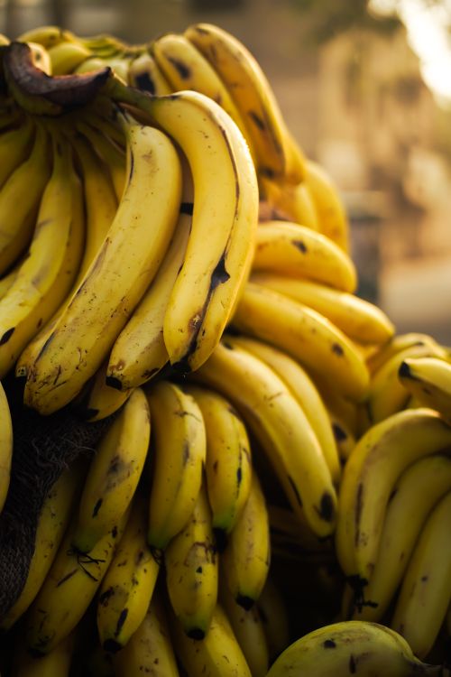 Free A bunch of ripe bananas displayed at a street market in Moga, Punjab, India. Stock Photo