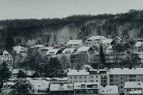 Free A serene winter scene capturing snow-blanketed houses and trees in a suburban setting. Stock Photo