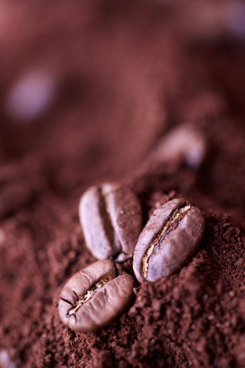 Free Close-up view of coffee beans resting on a bed of ground coffee. Stock Photo