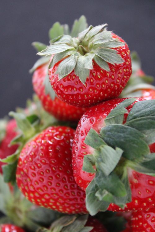 Free Vibrant close-up image of fresh red strawberries with green leaves against a black background. Stock Photo
