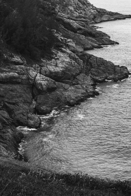 Free Black and white image of a rugged coastline with dramatic cliffs and trees. Stock Photo