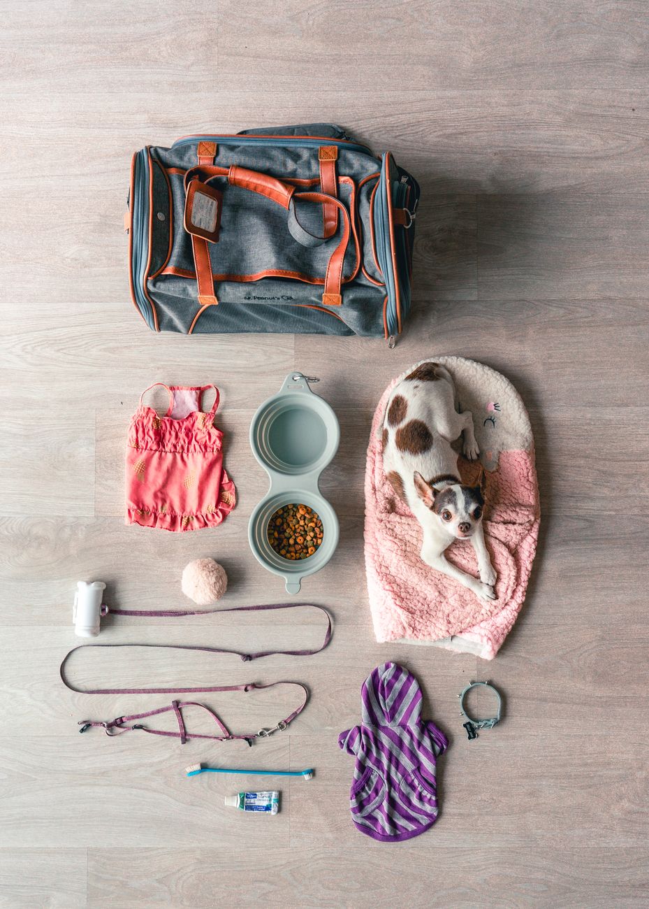 PawVenture 8-Piece Dog Travel Essentials Kit — image 1