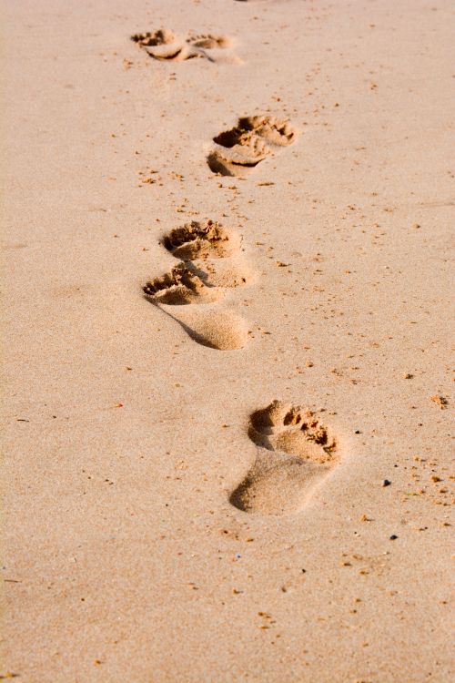 Free A trail of footprints in smooth sand along a sunlit beach, capturing an afternoon walk. Stock Photo