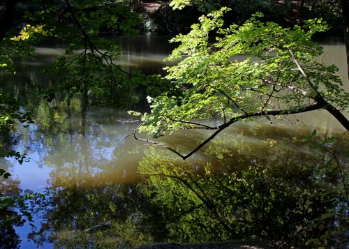 Free stock photo of blue sky, body of water, hiking Stock Photo