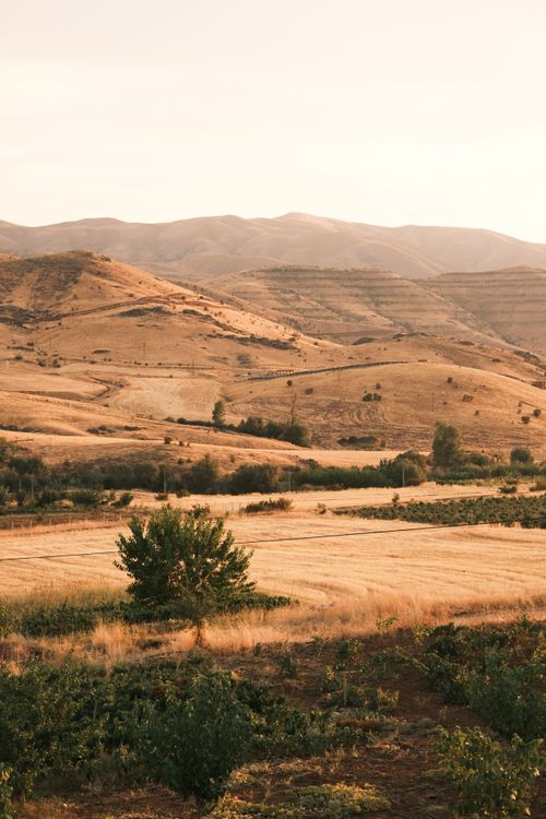 Free Scenic view of golden rolling hills at sunset, capturing the serene beauty of a summer evening. Stock Photo