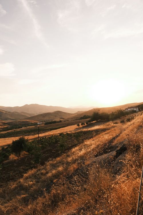 Free Scenic view of rolling hills at sunset with warm, golden light creating a serene atmosphere. Stock Photo