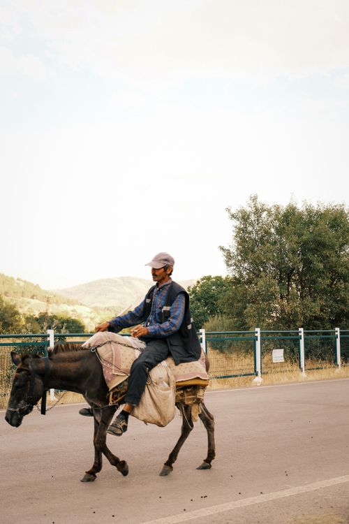 Free A man leisurely rides a mule along a country road during a sunny day, showcasing rural life. Stock Photo