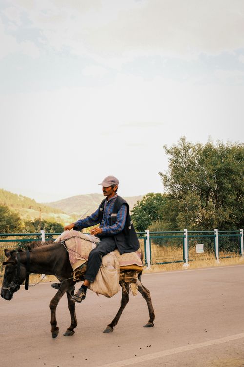 Free A man rides a donkey along a countryside road, capturing a peaceful rural scene. Stock Photo