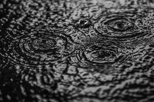 Free Monochrome image showing ripples in water, highlighting texture and patterns. Stock Photo