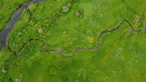 Free Aerial shot of vibrant green wetlands and stream in Rzhev, Tver Oblast, Russia. Stock Photo