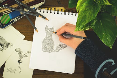 Pessoa Desenhando Um Gato