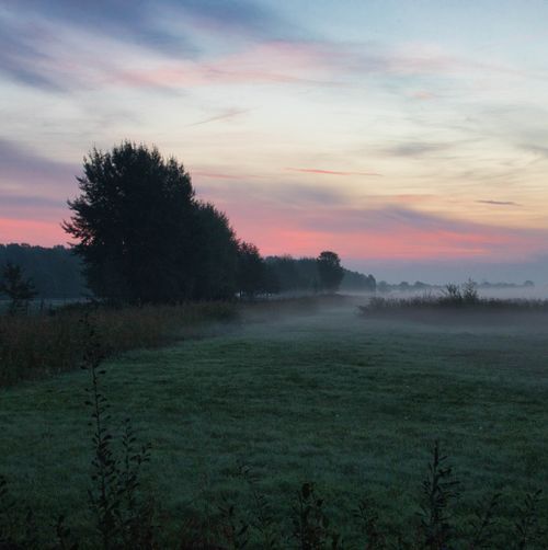 Free Tranquil sunrise over the misty fields of Vlijmen, capturing a peaceful morning landscape. Stock Photo