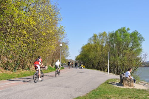 Kostnadsfri bild av bänk, bratislava, cykel