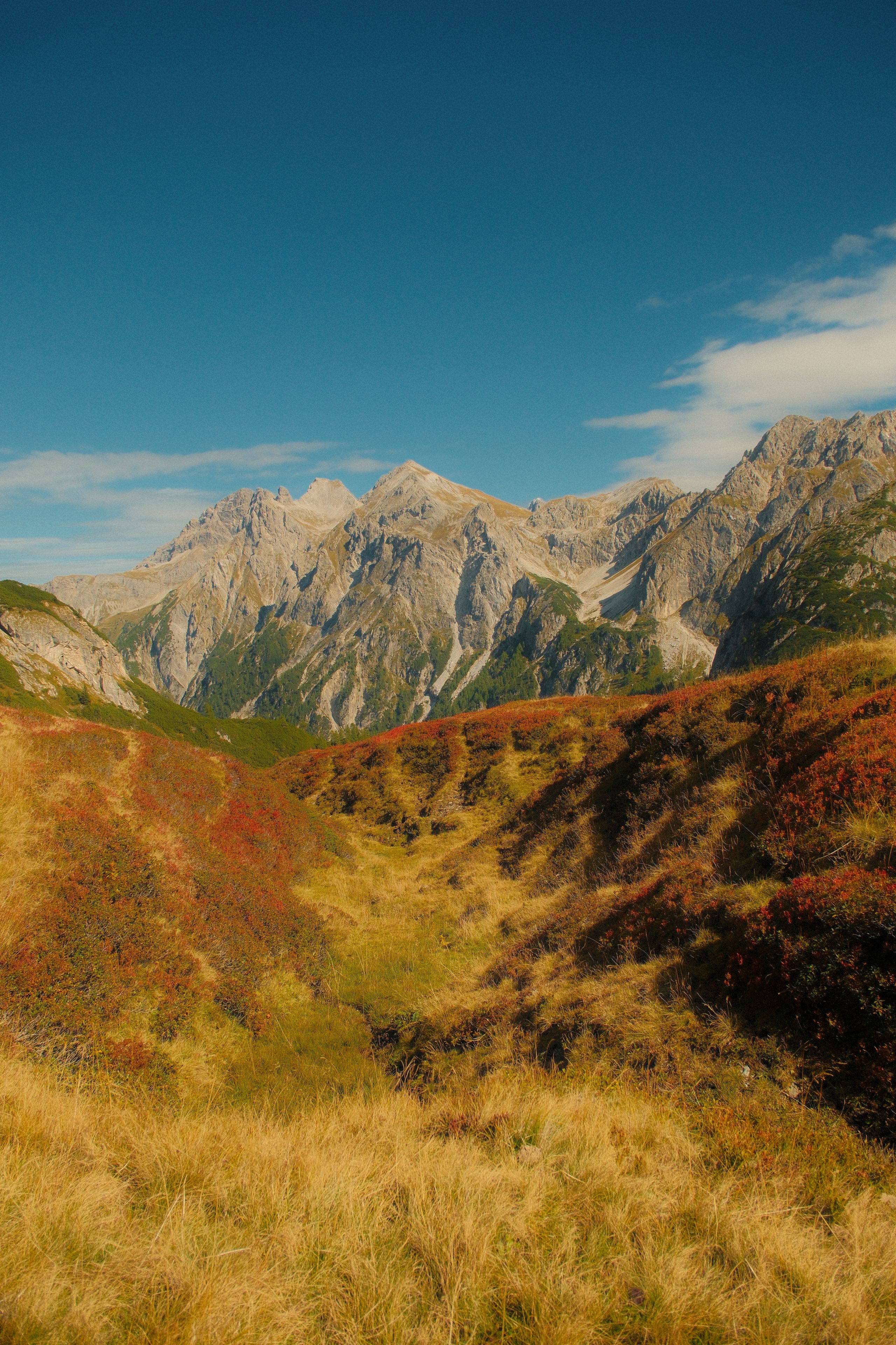 Scenic view of the Austrian
