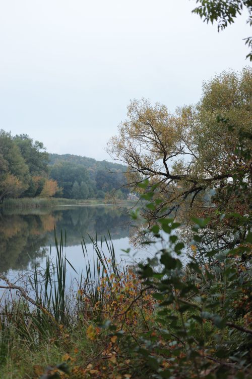 Free Tranquil lake with autumn foliage reflecting on the water under a cloudy sky. Stock Photo