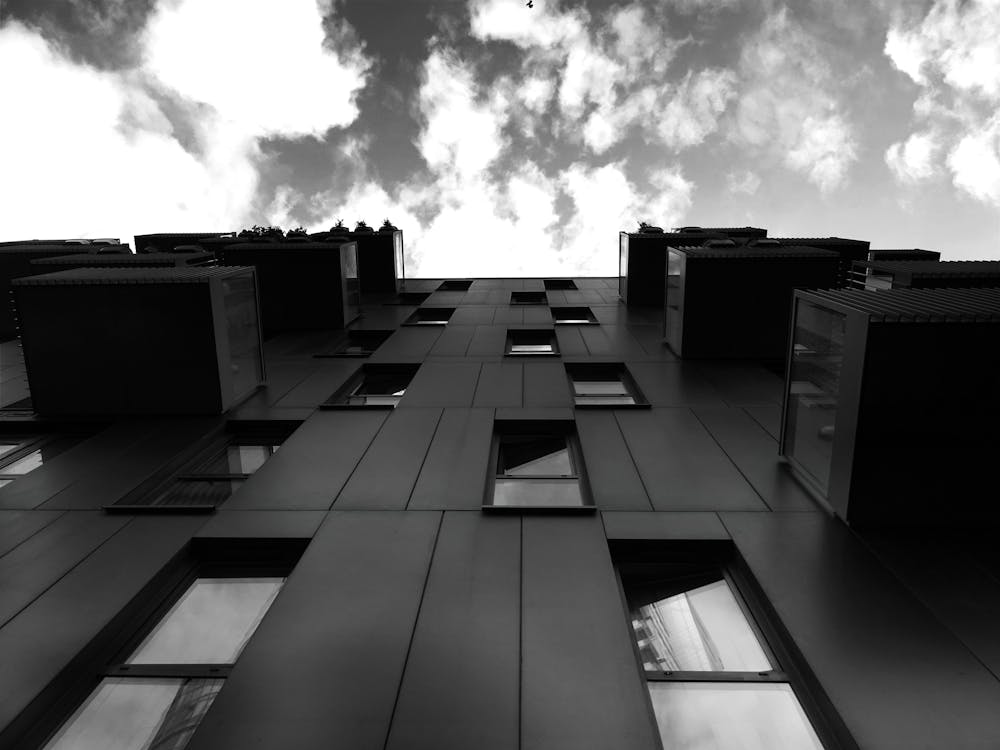 무료 건물의 회색조 스톡 사진