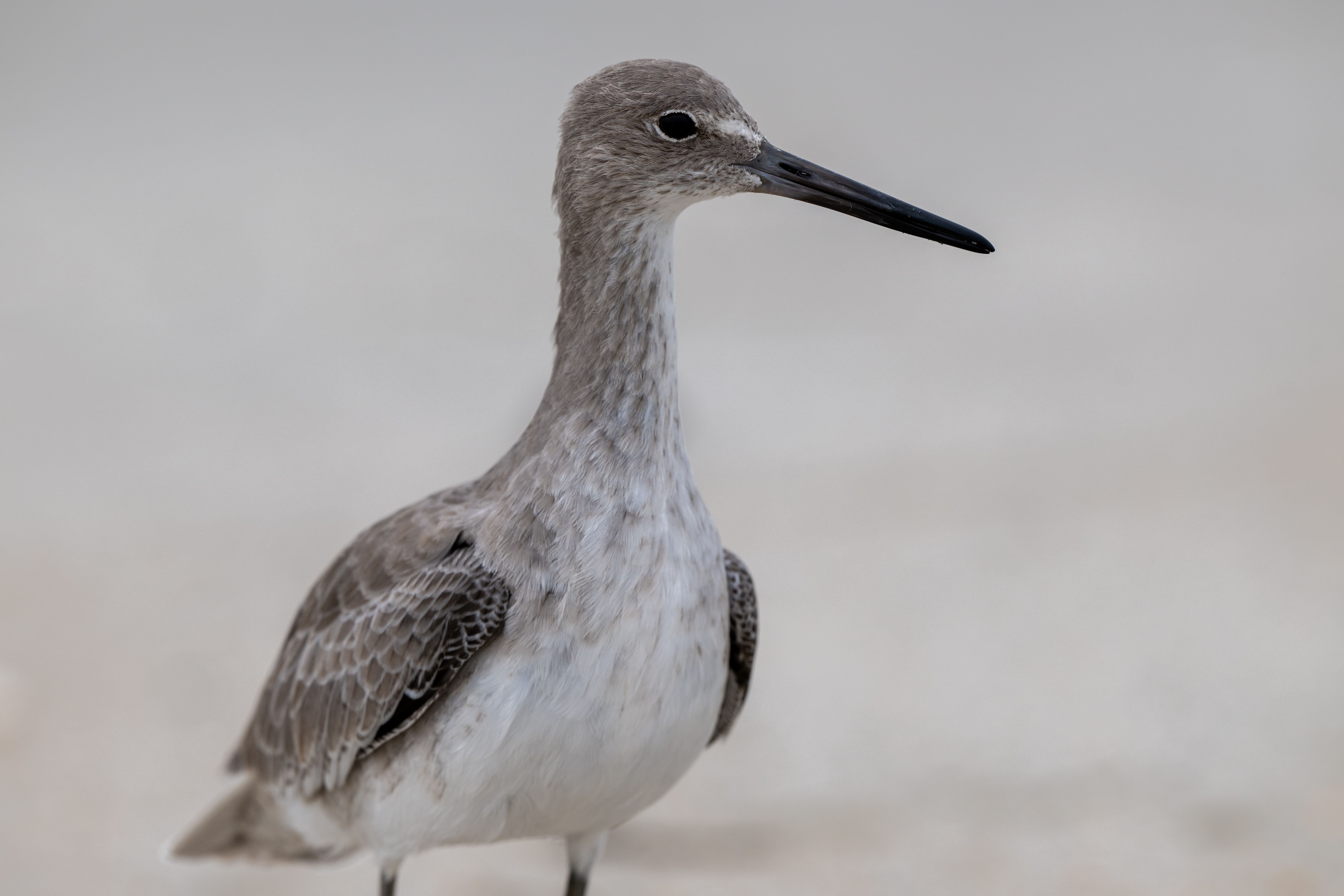 things to do in kure beach