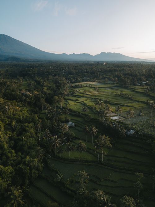 Free Captivating aerial shot of verdant rice terraces in Lombok, Indonesia, with majestic Mount Rinjani in the backdrop. Stock Photo