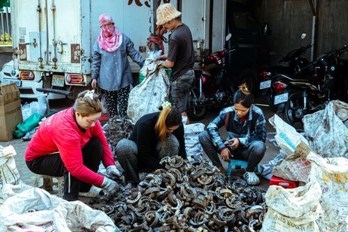 Free People sorting and processing recycled metal parts in an outdoor setting, organized teamwork in an urban area. Stock Photo