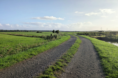 Free A serene rural road winds through green fields with wind turbines, under a clear sky. Stock Photo