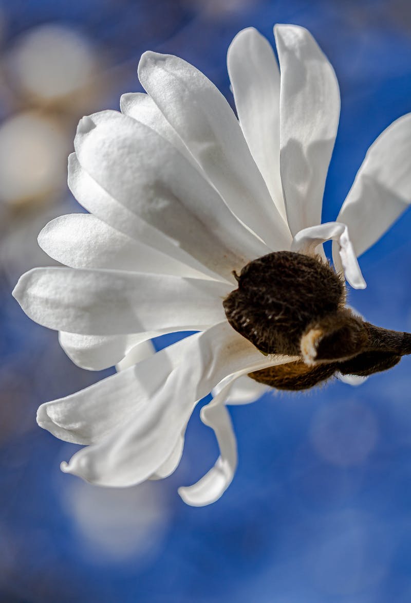 Pregătire pentru naștere