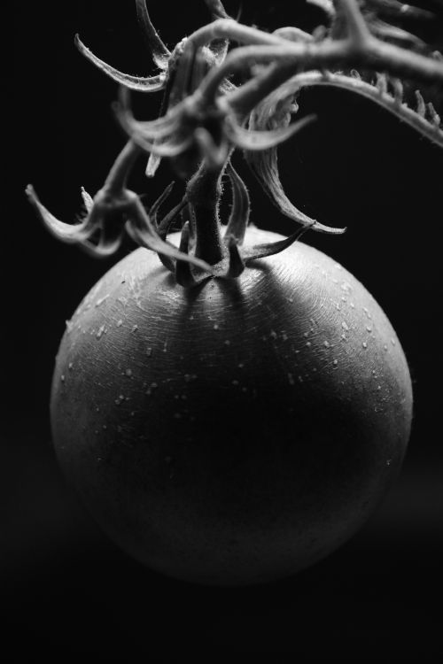 Free Close-up black and white photo of a tomato with dramatic lighting. Stock Photo