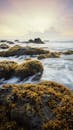 日出时，迷人的海景、长满苔藓的岩石和轻柔的波浪共同营造出宁静的氛围