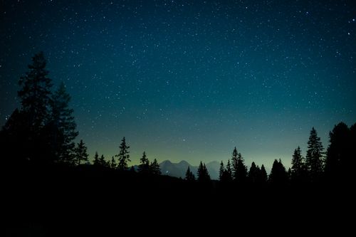 Free Beautiful starry sky above trees and mountains near Interlaken, Switzerland. Stock Photo