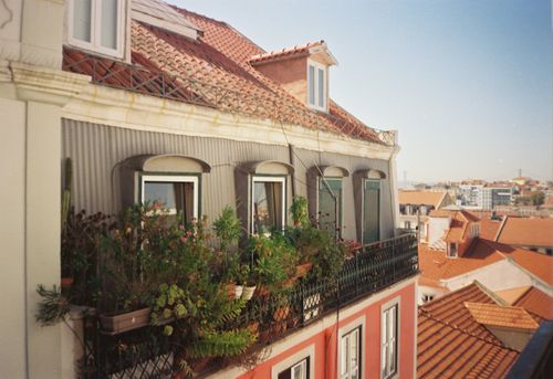 Free A cozy balcony in Lisbon adorned with lush plants, overlooking traditional red rooftops and a clear sky. Stock Photo